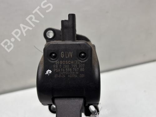 Used Pedal Pedal PEUGEOT 206 Hatchback (2A/C) 1.4 HDi eco 70 (68 hp) 32441137 32441137