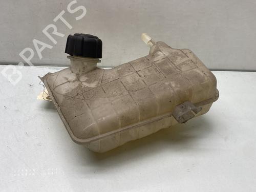 expansion-tank-renault-scenic-ii-jm01_-2003-2004-2005-2006-2007-2008-2009-2010-31379770 main image