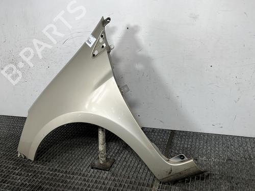 Left front fenders RENAULT CLIO III (BR0/1, CR0/1) 1.5 dCi (BR17, CR17) | BP28496428C41 