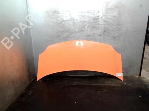 Used Hood RENAULT KANGOO Express (FW0/1_) 1.5 dCi 85 (FW0K, FW0L, FW0B) (86 hp) 21954230
