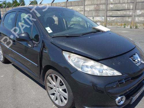 Front left exterior door handle PEUGEOT 207 (WA_, WC_) 1.6 HDi | BP20017095C128 