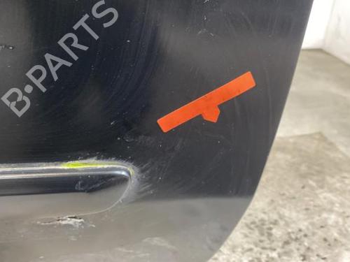 Used Right front door FIAT 500 (312_) 1.3 D Multijet (312AXB1A) (75 hp) 31115875