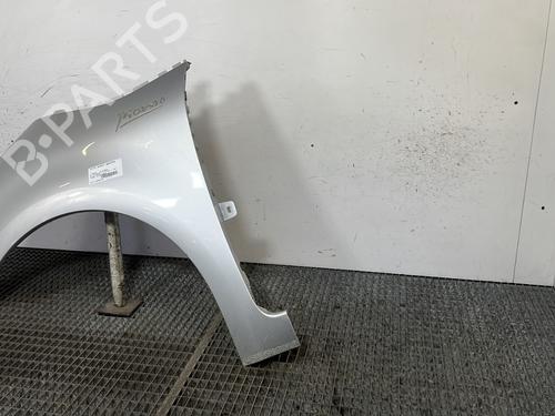 Left front fenders CITROËN C4 Picasso I MPV (UD_) 1.6 HDi | BP29239404C41 