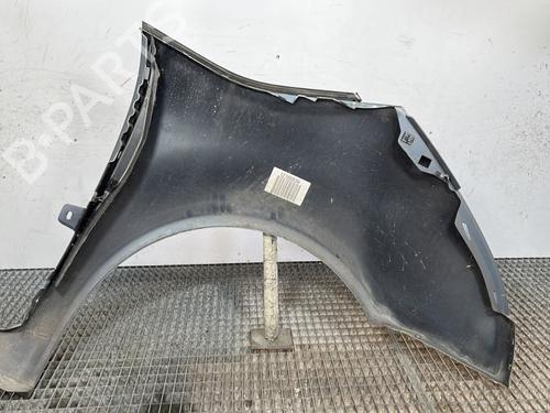 Left front fenders CITROËN C4 Picasso I MPV (UD_) 1.6 HDi | BP28280538C41 