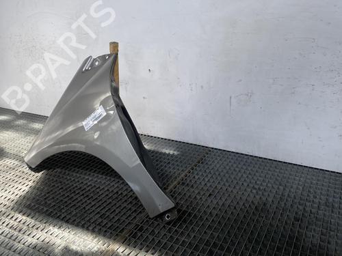 Left front fenders MERCEDES-BENZ A-CLASS (W169) A 180 CDI (169.007, 169.307) | BP20022802C41 