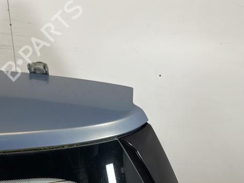 Tailgate RENAULT GRAND SCÉNIC II (JM0/1_) 1.9 dCi (JM0G, JM12, JM1G, JM2C) | BP31170015C6