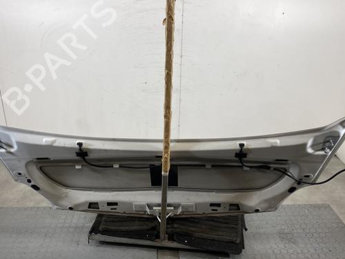 Used Hood Hood RENAULT KANGOO / GRAND KANGOO II (KW0/1_) 1.5 dCi 85 (KW0K, KW0L, KW0B) (86 hp) 22594873 22594873