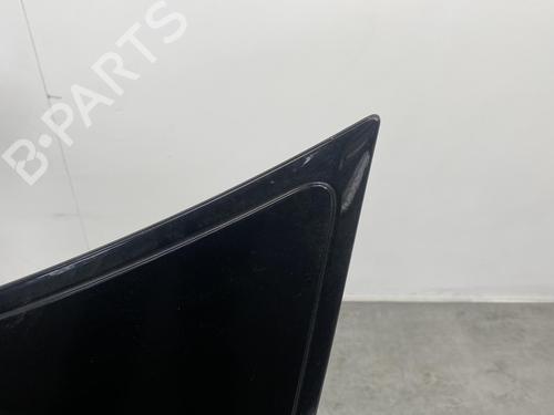 Hood SMART FORFOUR (454) 1.1 (454.030) | BP19974670C1 