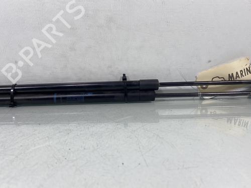 Used Tailgate lift support RENAULT SCÉNIC II (JM0/1_) 1.5 dCi (JM1E, JM16) (106 hp) 29897340