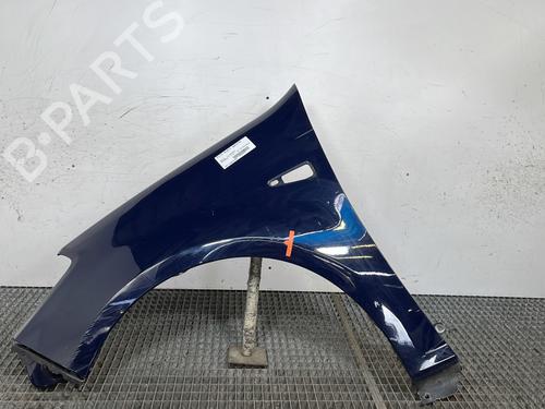 Used Left front fenders DACIA SANDERO 1.4 (BS0C, BS0A, BS0G, BS1F, BS0E) (75 hp) 29141815