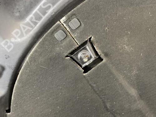 Used Hood Hood VW PASSAT CC B6 (357) 2.0 TDI (140 hp) 36018851 36018851