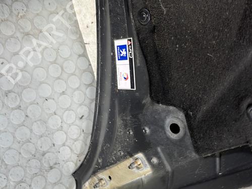 Hood PEUGEOT 3008 I MPV (0U_) 1.6 HDi | BP29748987C1