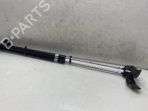 Tailgate lift support MAZDA DEMIO (DW) 1.3 16V (DW3W, DW19) | BP19954081C138 