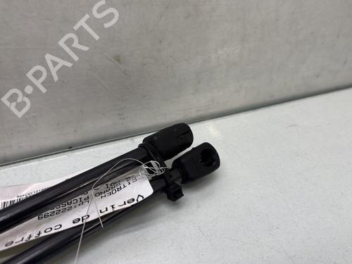 tailgate-lift-support-citroen-c4-grand-picasso-ii-da_-de_-2013-34333001 main image