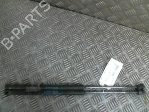 Gassdemper Bakluke LANCIA YPSILON (843_) 1.3 D Multijet (843.AXF11, 843.AXF1A, 843.AXM11,... (75 hp) 20000786