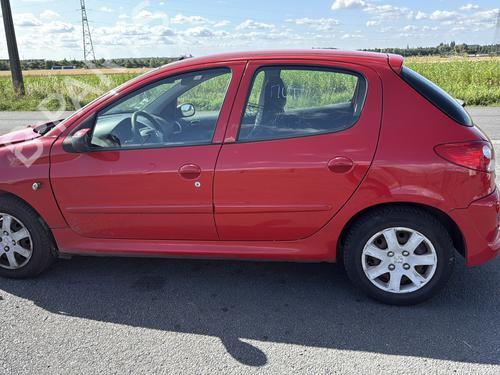 Left front door PEUGEOT 206+ (2L_, 2M_) 1.4 i | BP29999542C2