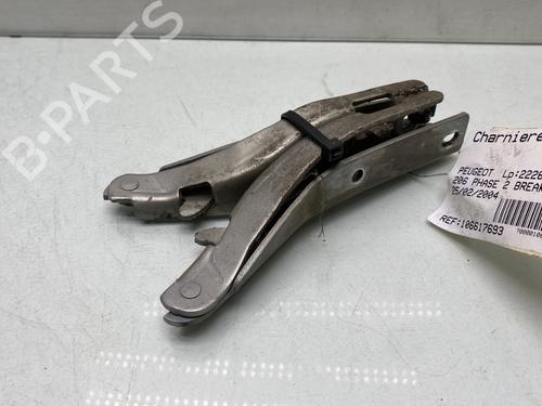 Used Hinge/Door check strap Hinge/Door check strap PEUGEOT 206 SW (2E/K) 1.4 16V (88 hp) 30443347 30443347