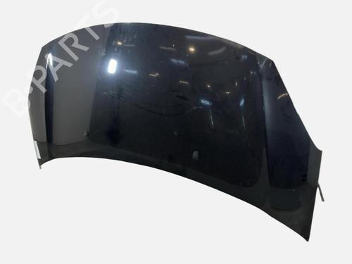 hood-citroen-c3-ii-sc_-2009-39984099 main image
