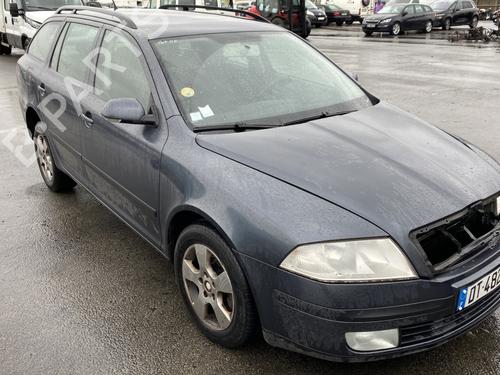 Right rear door SKODA OCTAVIA II Combi (1Z5) 1.9 TDI | BP29425584C5 