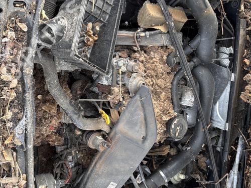 Venstre baklys, luke VW PASSAT B3/B4 (3A2, 35I) 1.6 TD | BP29759511C79 
