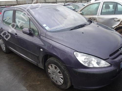 Hood PEUGEOT 307 (3A/C) 2.0 HDi 90 | BP20016509C1 