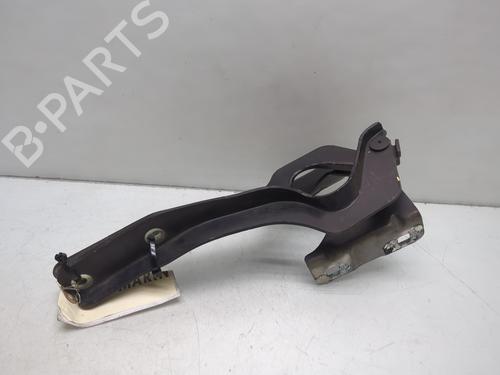 Hinge/Door check strap NISSAN QASHQAI I (J10, NJ10) 1.5 dCi | BP24550136C146