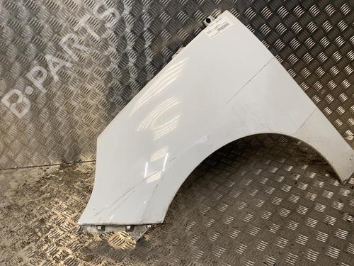 Left front fenders RENAULT SCÉNIC III (JZ0/1_) 1.5 dCi | BP21955777C41 