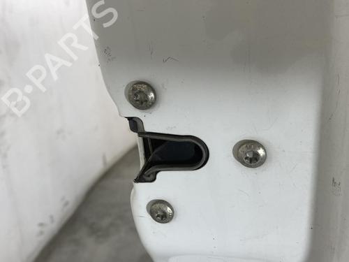 Right front door OPEL VIVARO A Van (X83) 1.9 DTI (F7) | BP21959609C3 