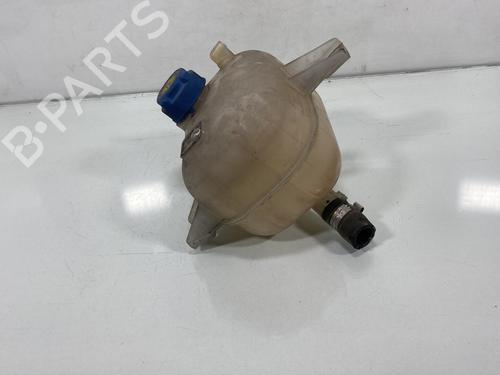 Expansion tank FIAT DOBLO Cargo (263_)  | BP19978548C120 