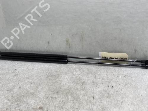 Tailgate lift support NISSAN JUKE (F15) 1.5 dCi | BP19956287C138 