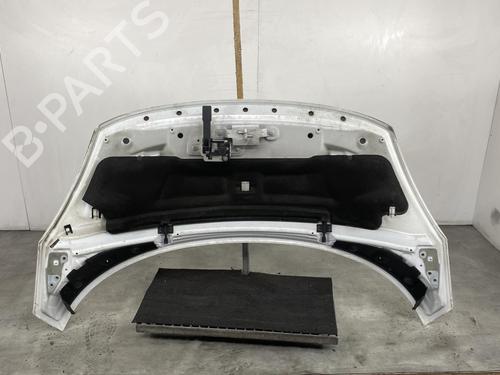 Used Hood RENAULT SCÉNIC III (JZ0/1_) 1.9 dCi (JZ0J, JZ1J, JZ1K, JZ1S) (131 hp) 19954873