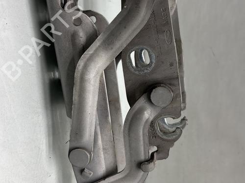 Used Hinge/Door check strap FORD FIESTA VI (CB1, CCN) 1.25 (82 hp) 29841751