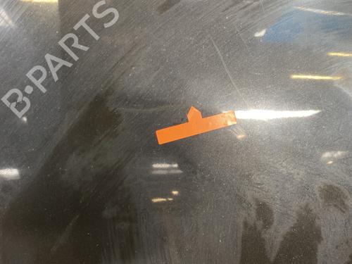 Hood RENAULT TWINGO II (CN0_) 1.2 16V (CN0K, CN0V, CN0A) | BP24420439C1 