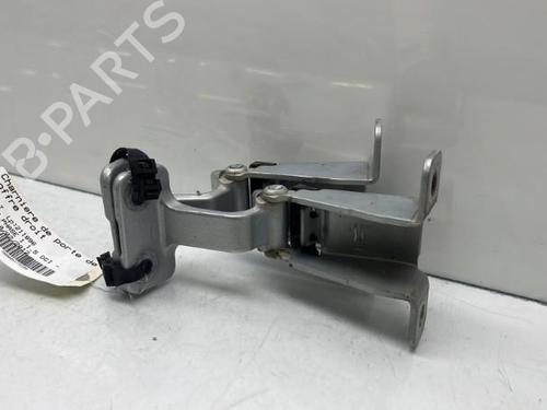 Hinge/Door check strap RENAULT KANGOO Express (FW0/1_) 1.5 dCi 70 (FW0A, KW0V) | BP19988145C146 