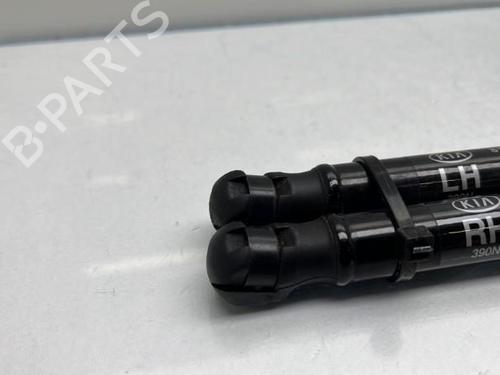 Used Tailgate lift support KIA RIO IV (YB, SC, FB) 1.0 T-GDI 100 (101 hp) 19949255
