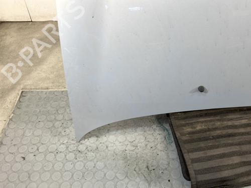 Hood RENAULT CLIO II (BB_, CB_) 1.5 dCi (B/CB07) | BP28279372C1 