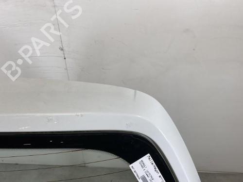 Used Tailgate Tailgate RENAULT TWINGO II (CN0_) 1.5 dCi 75 (75 hp) 21963361 21963361
