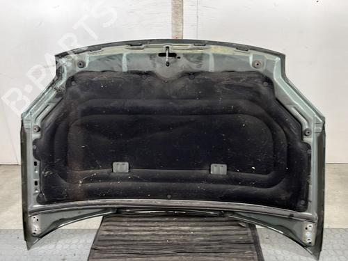 Hood PEUGEOT PARTNER MPV (5_, G_) 2.0 HDI | BP29501663C1 