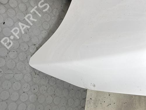 Hood RENAULT MEGANE III Coupe (DZ0/1_) 1.6 dCi (DZ00, DZ12, DZ2A, DZ13) | BP30720017C1