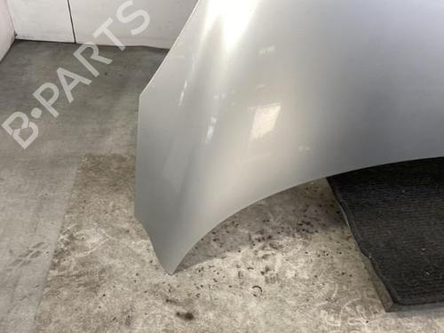 Hood RENAULT SCÉNIC III (JZ0/1_) 1.5 dCi | BP19952562C1 