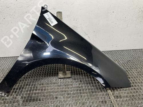 Used Right front fenders MERCEDES-BENZ B-CLASS Sports Tourer (W245) B 180 CDI (245.207) (109 hp) 29609895