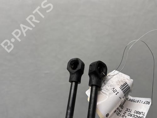 tailgate-lift-support-dacia-sandero-ii-2012-27361401 main image