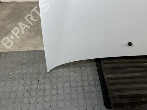 Hood RENAULT CLIO II (BB_, CB_) 1.2 16V (BB05, BB0W, BB11, BB27, BB2T, BB2U, BB2V, CB05,... | BP30171592C1 