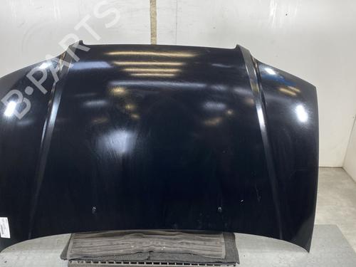 Used Hood HYUNDAI TRAJET (FO) 2.0 CRDi (113 hp) 20849021