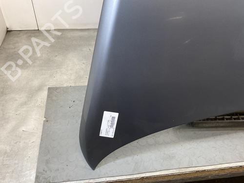 Hood VW TOUAREG (7LA, 7L6, 7L7) 2.5 R5 TDI | BP21051177C1 
