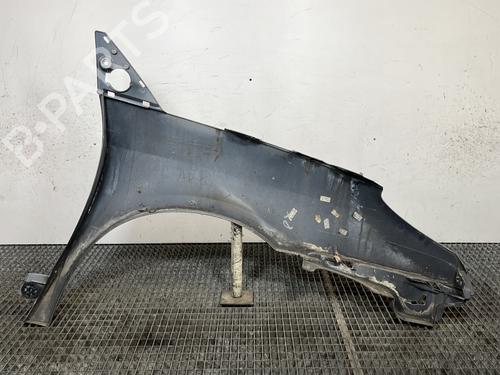 Left front fenders CITROËN C8 (EA_, EB_) 2.0 HDi 165 | BP29446573C41 