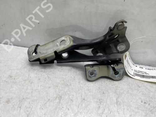 Hinge/Door check strap CHEVROLET AVEO / KALOS Hatchback (T250, T255)  | BP19963131C146