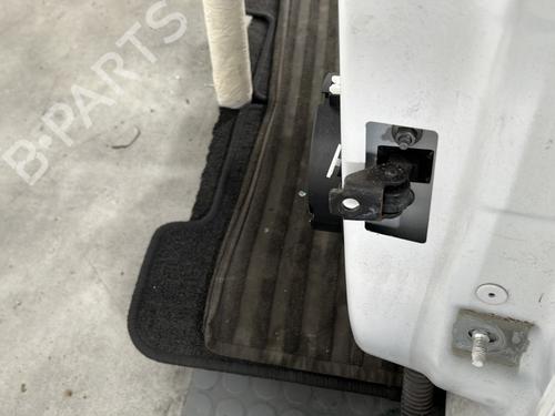 Left rear door RENAULT CLIO IV (BH_) 1.2 16V | BP28336210C4 