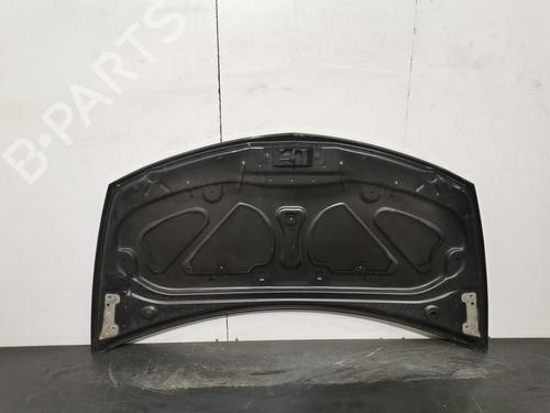 Hood RENAULT CLIO III (BR0/1, CR0/1) 1.4 16V | BP20182475C1 