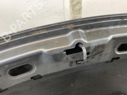 Hood PEUGEOT 207 CC (WD_) 1.6 HDi | BP26020371C1